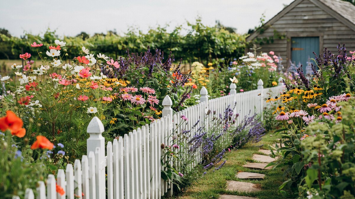 White picket fence winding through a colorful flower garden