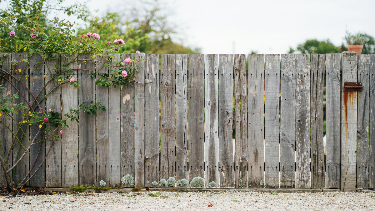 Rustic reclaimed wood board fence in a garden
