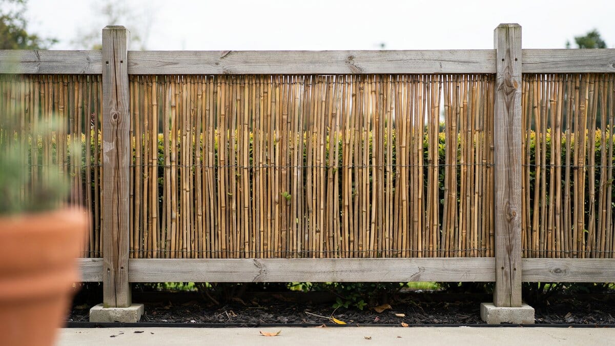 Fence combining a wood frame with bamboo cane panels