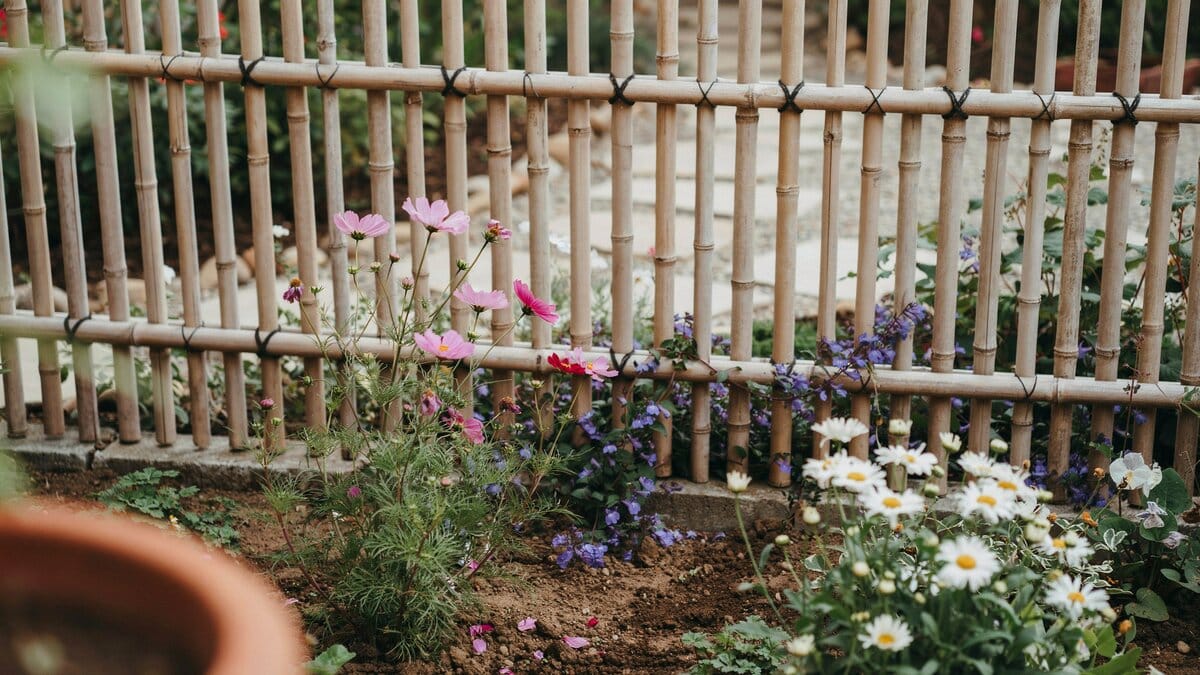 Traditional bamboo fence with flowering plants in front