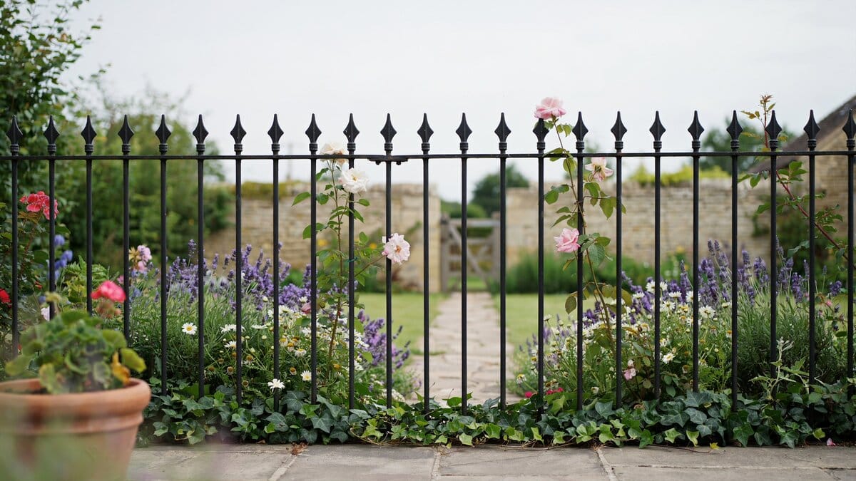 Black wrought iron garden fence with flowers growing along it