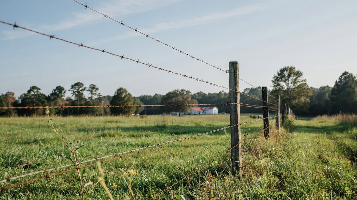 Double wire fence line along a rural farm field