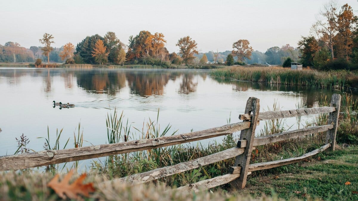 Wood split rail fence in front of a calm pond