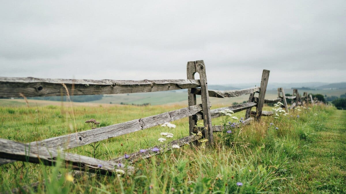 Rustic wood split rail fence along a country field