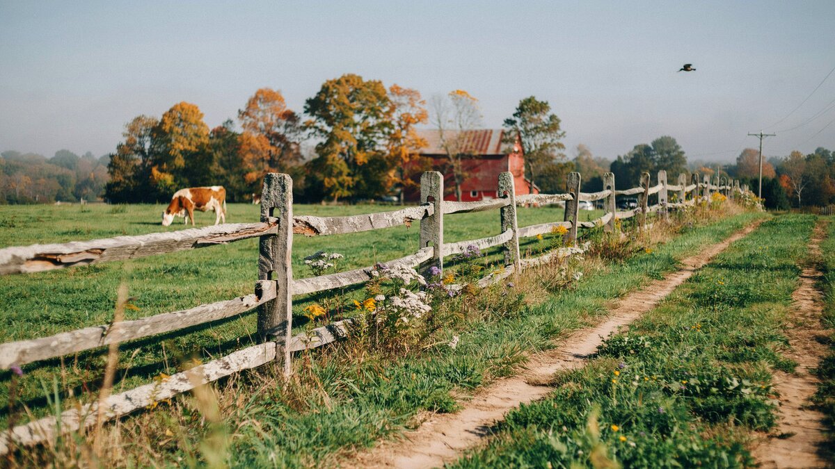 Wood split rail fence marking a farm perimeter