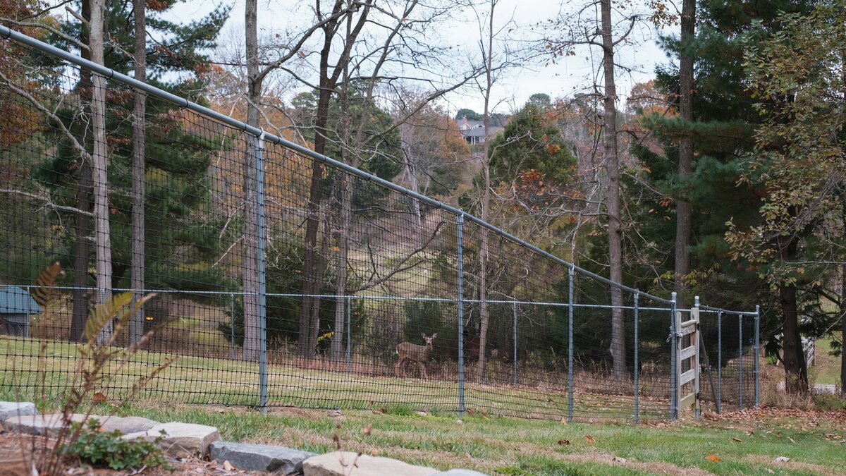 Tall deer fence surrounding a wooded property