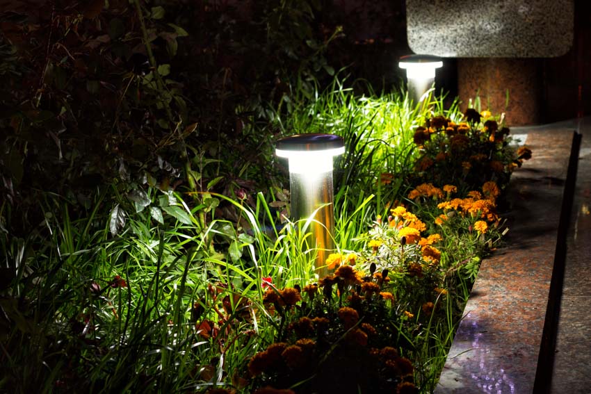 LED spike lighting for garden plants