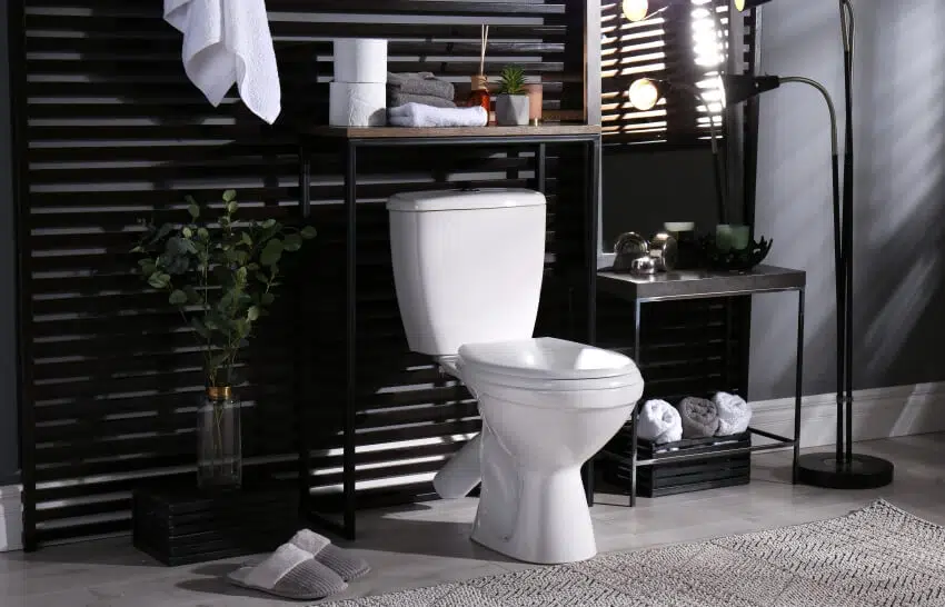 Bathroom interior floor lamp plant and black shelves with decors
