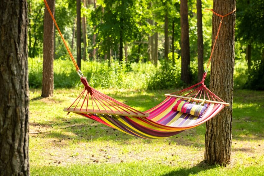 Beautiful landscape with hammock in the summer garden