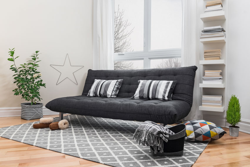 Beautiful living room with futon couch, rug, wood floor, indoor plant and floating shelves