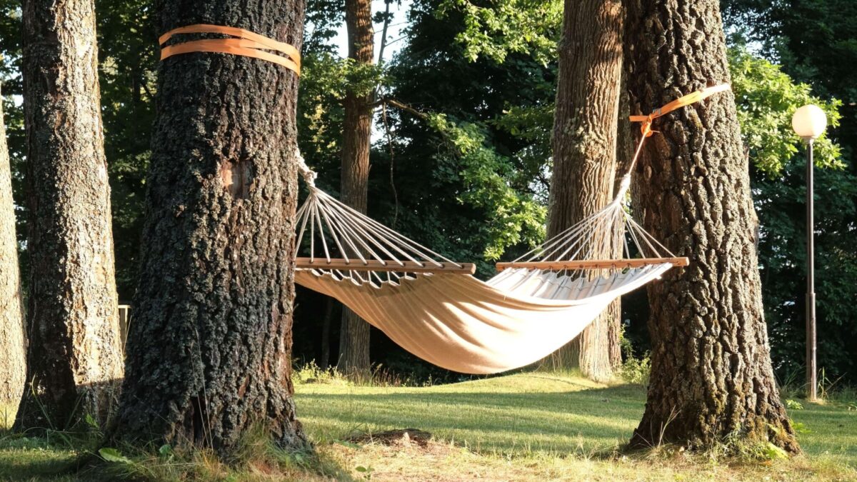 best hammock to hang between trees