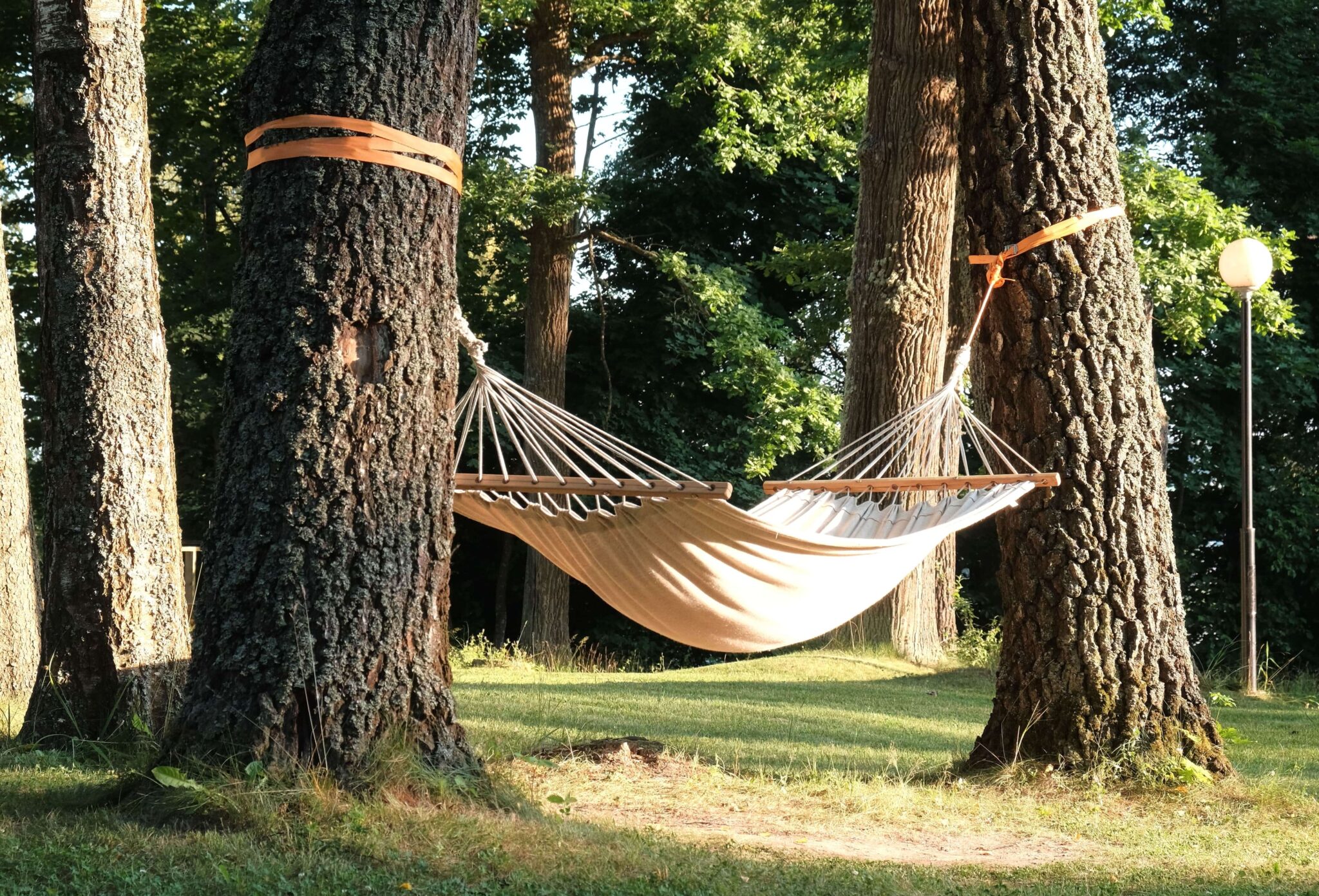 Beige quilted hammock between the trees in beautiful forest