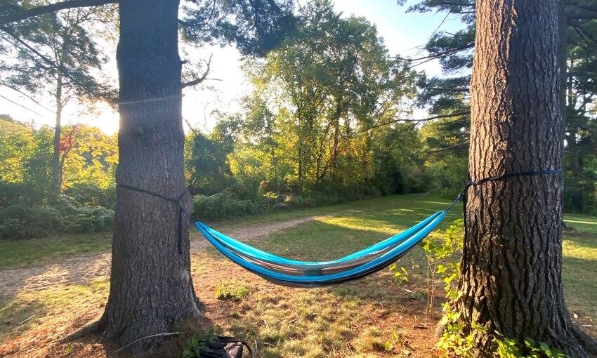 Blue camping hammock in between huge trees