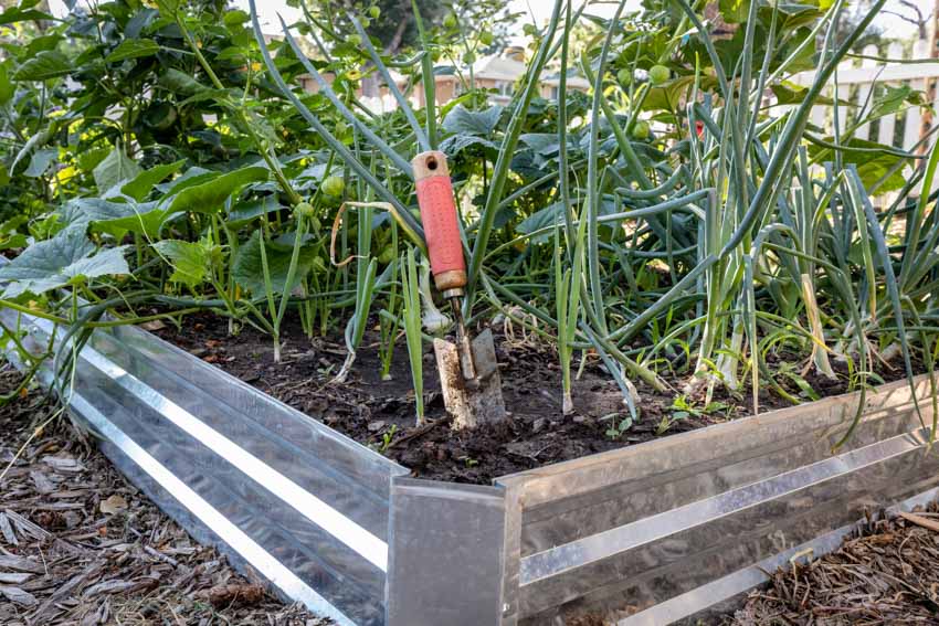 Closeup of planter with trowel