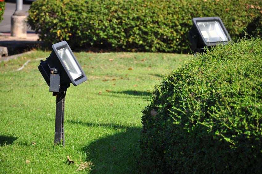 Color changing spotlights on garden grounds