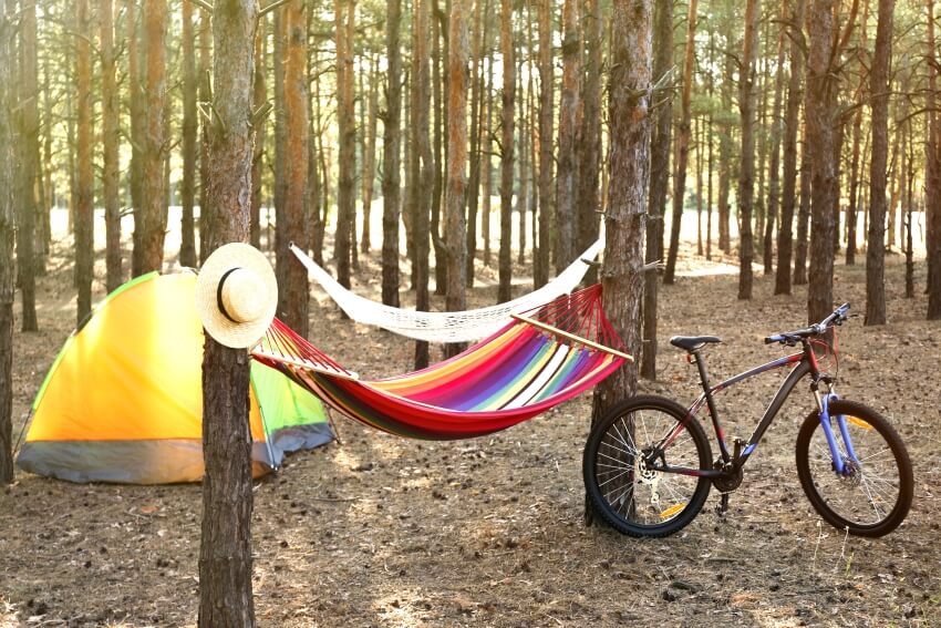 Colorful hammock, camping tent, and bicycle in forest on summer day