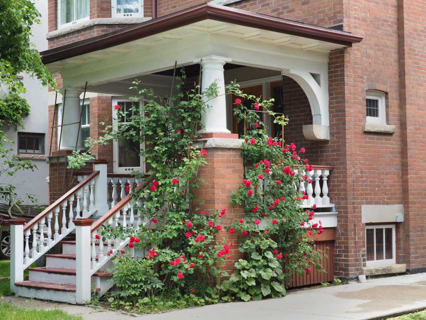 Front porch with foyer, and climbing roses