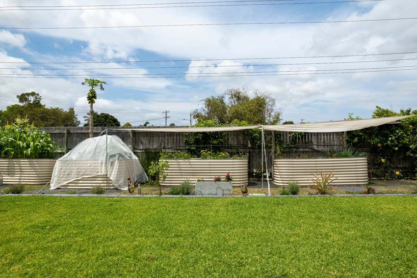 Garden space with many planters for growing vegetables