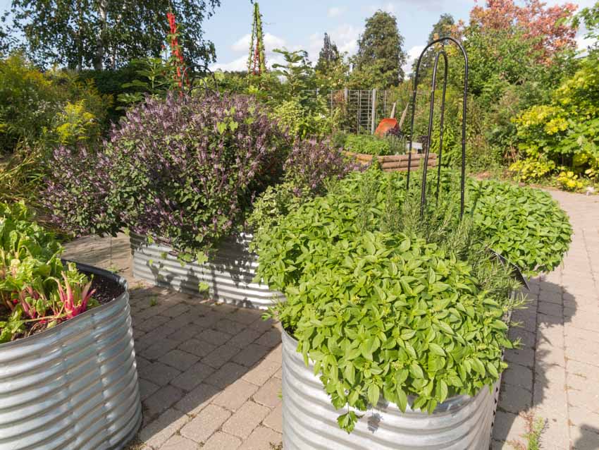 Garden with multiple planters with plants