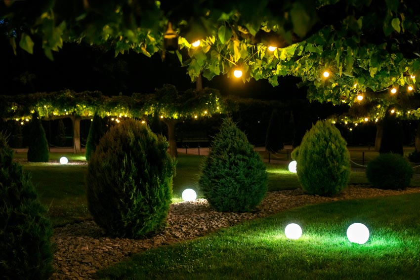 Garden with outdoor lights and hedge plants