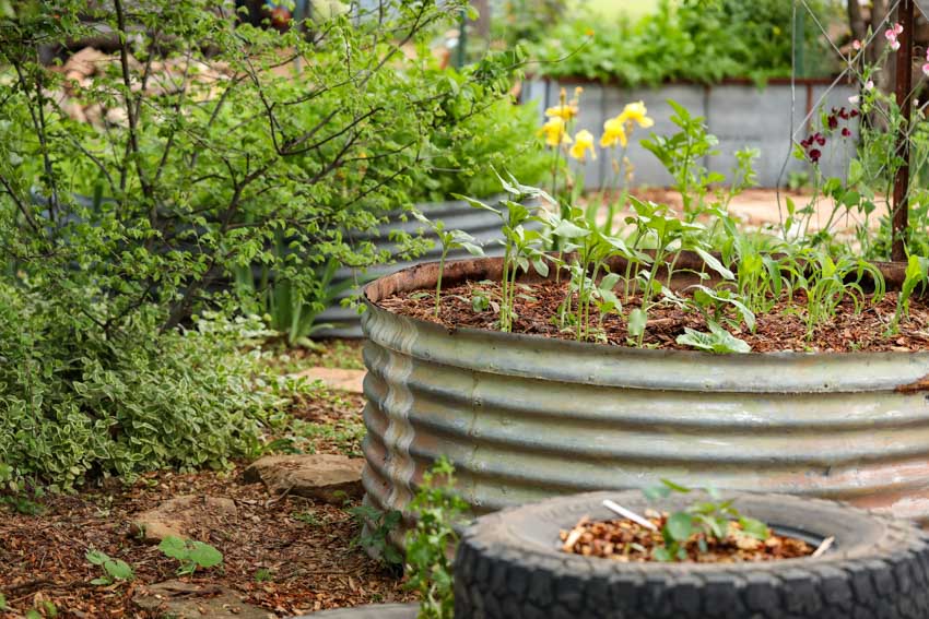 Garden with round planters