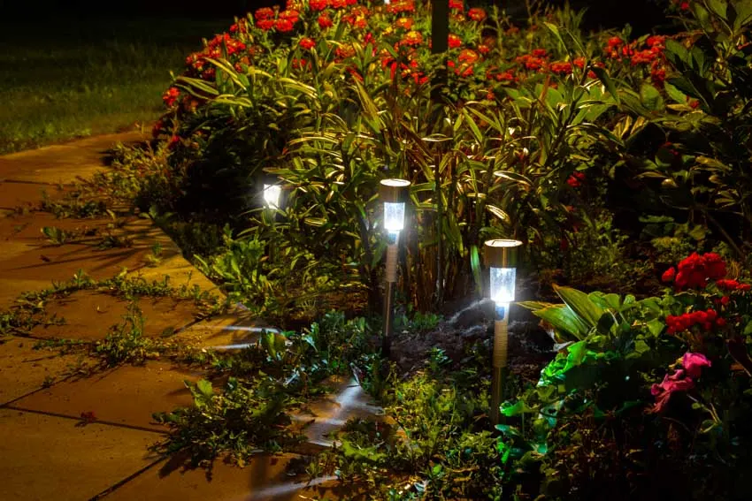 Garden with walkway and LED spike lights