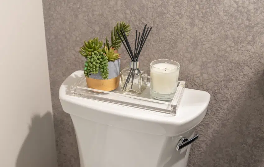 Glass tray with decors on top of toilet tank