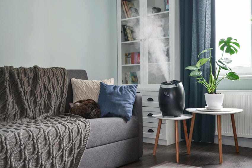 Living room with couch, humidifier, and indoor plant