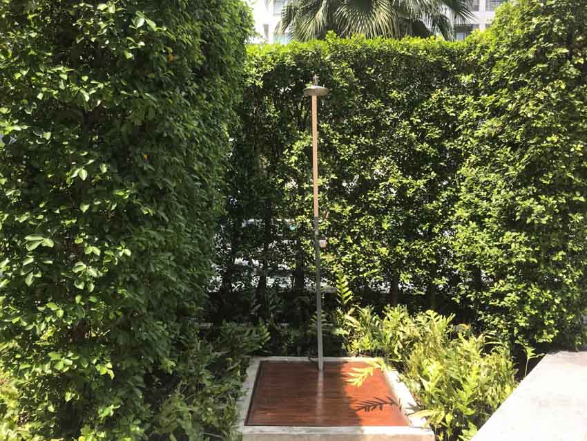Minimalist outdoor shower with freestanding showerhead, wood flooring, and hedge plants