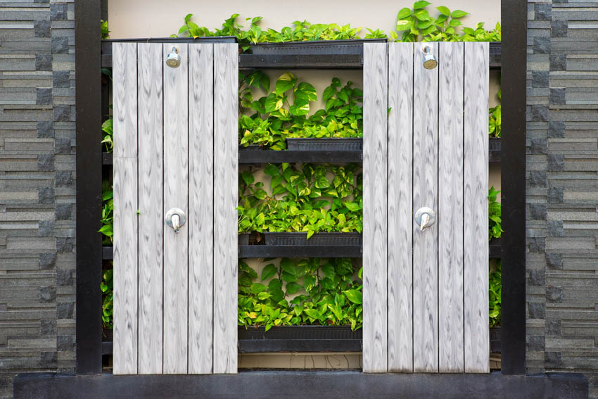 Modern dual showers mounted on vertical planks with plants behind it