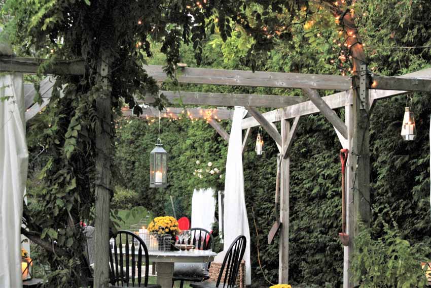 Outdoor area with pergola, table, chairs, and vines