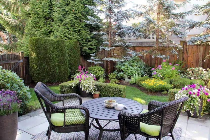 Outdoor patio with evergreen hedge plants, table, chairs, and fences