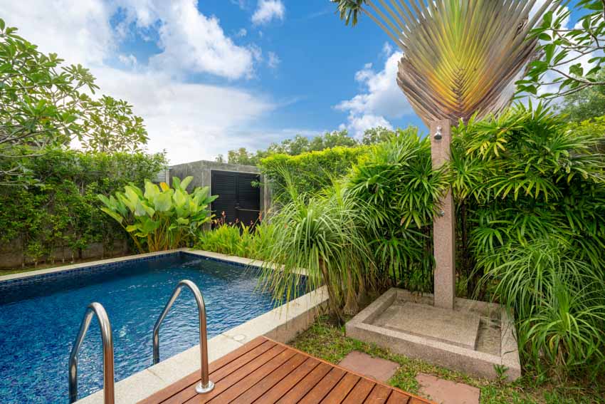 Pool with deck and surrounded by tropical plants