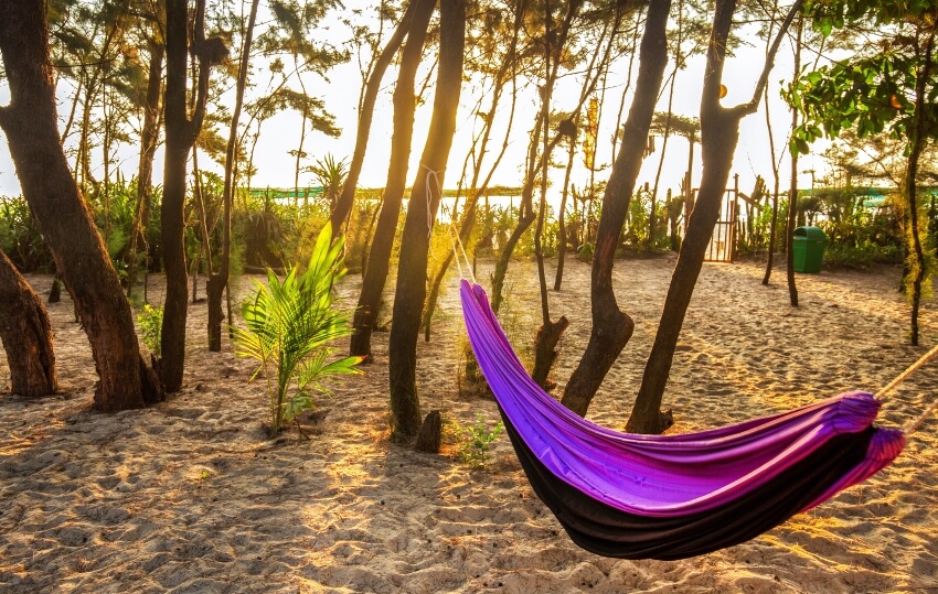 Purple hammock between palm trees in a beach on sunrise