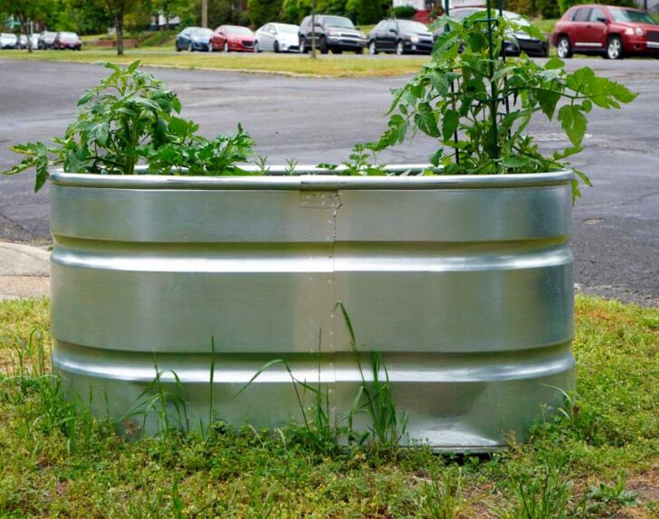 Pros And Cons Of Metal Raised Garden Beds