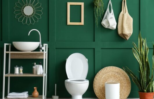 Restroom With Toilet Bowl Shelves Plants And Decors On Panel Green Wall Ss 531x343 
