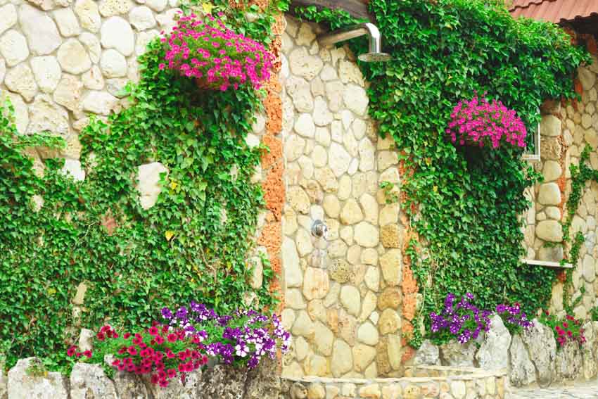 Wall mounted shower with plants growing on it