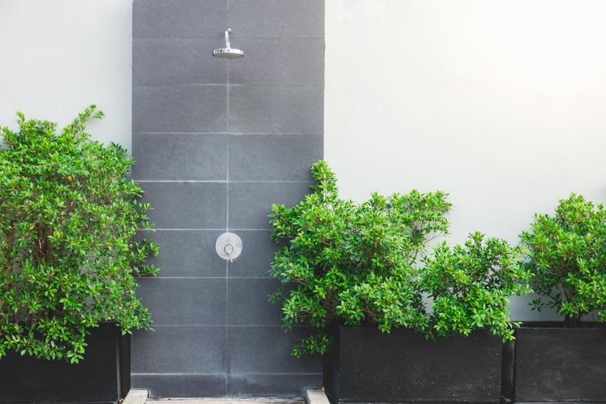 Simple outdoor shower with gray tile, wall plants, and showerhead