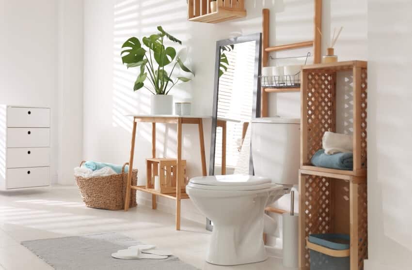 Spacious bathroom with wood storage plant on table standing mirror and tissue rack above toilet