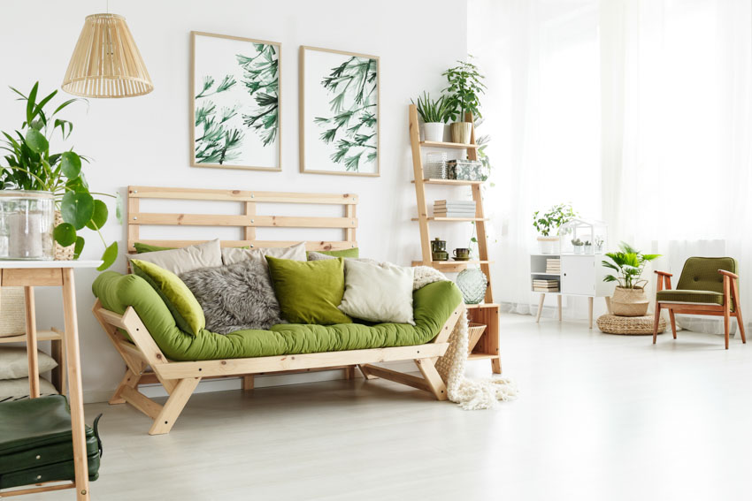 Spacious room with trifold futon, green cushion, indoor plants, freestanding shelves, and wooden arm chair