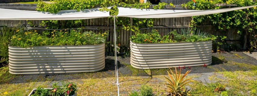 Two corrugated beds for gardens