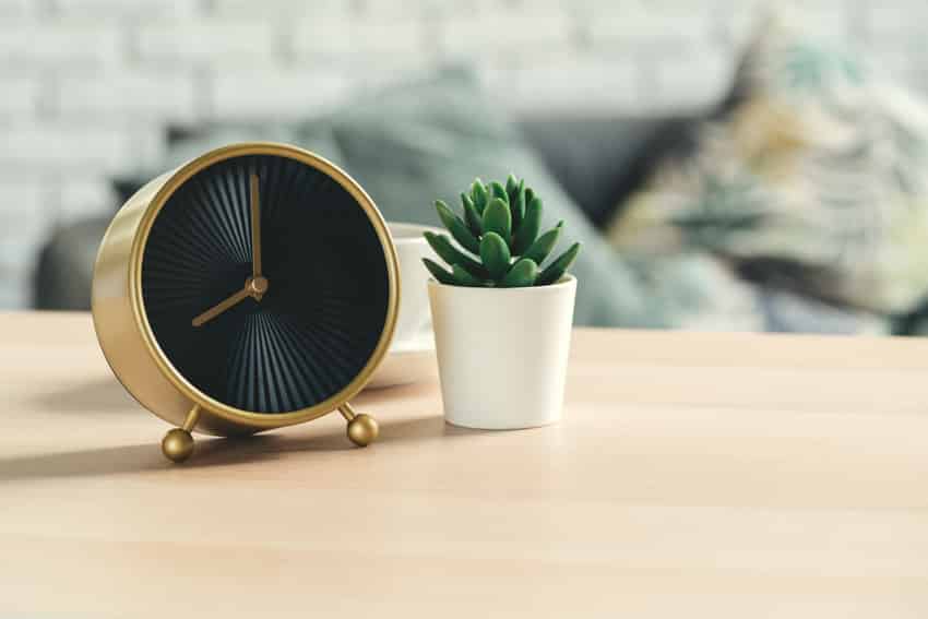 Wood table with clock and potted plant