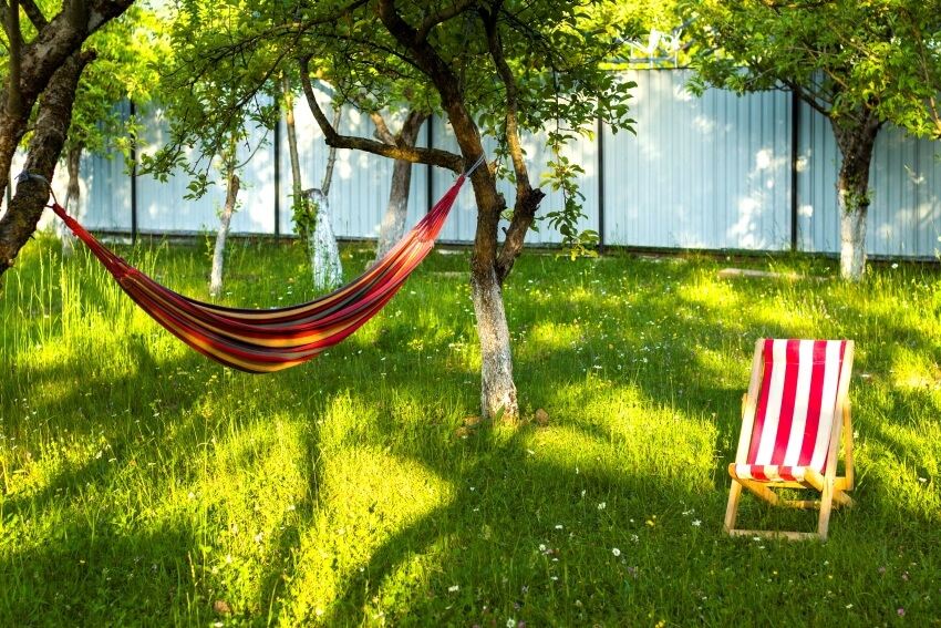 Yard chair and hammock in a garden with trees