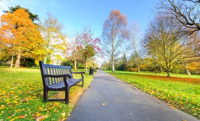 A bench in a beautiful park with pathway