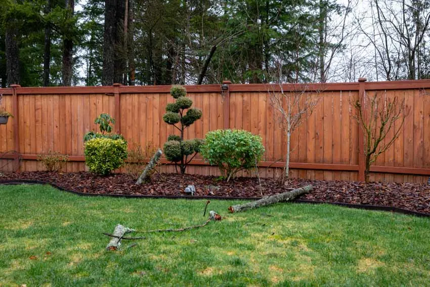 Backyard area with small trees, plants, and mahogany fence