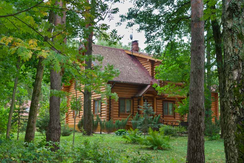 Cabin with siding and surrounded by trees