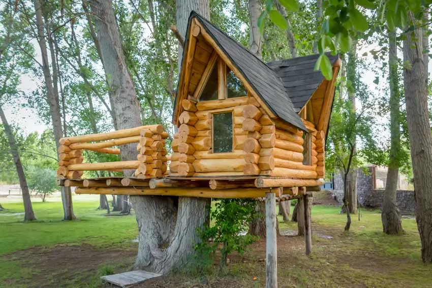 Cabin on a tree with deck