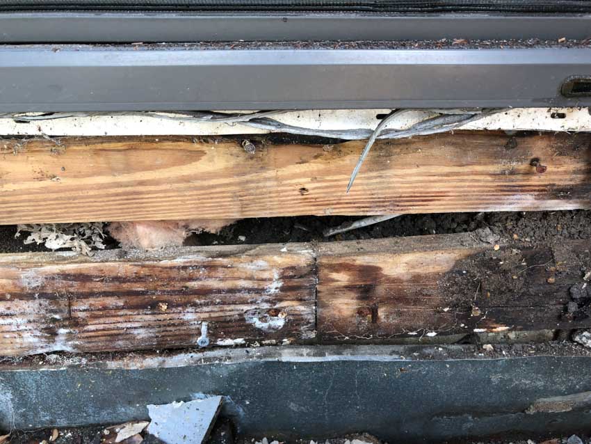 Close up of mold on wood in crawl space