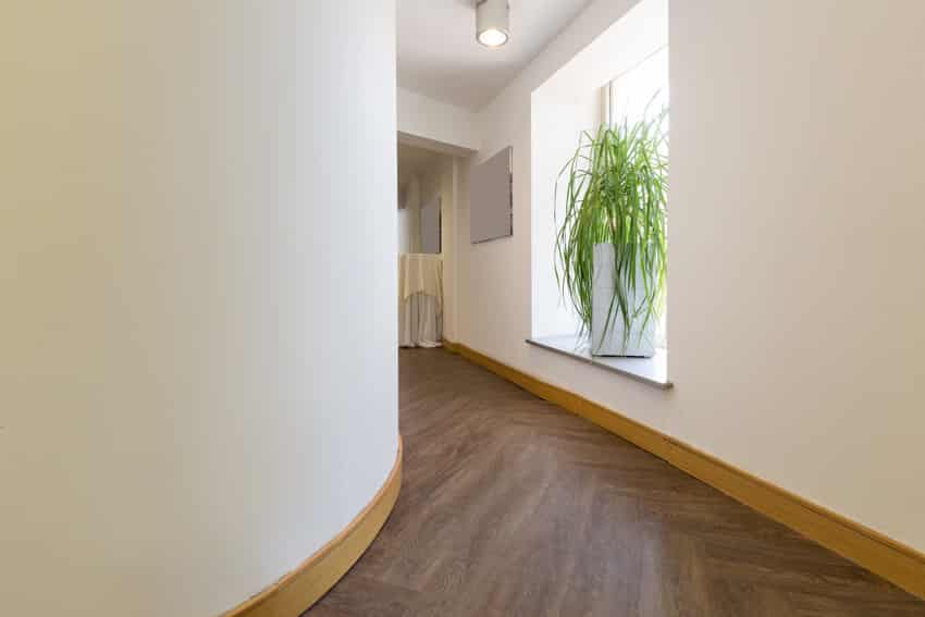 Curved hallway with wood flooring, window, and potted plant