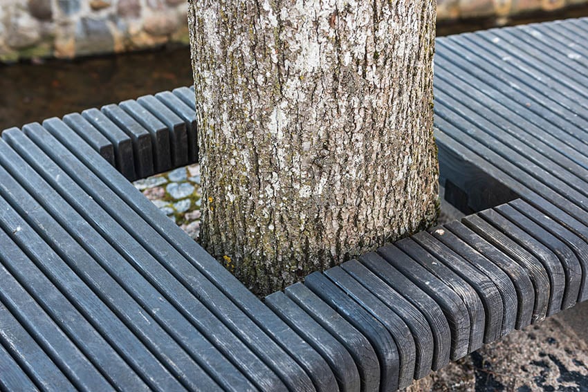 Custom tree bench